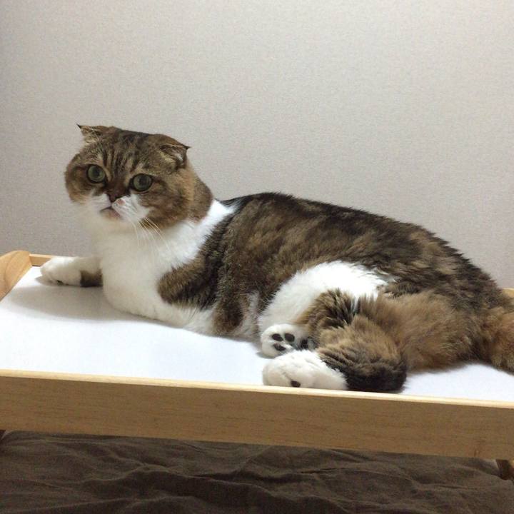 Cd117e72 a59c 42d1 9dd1 837e023118a1