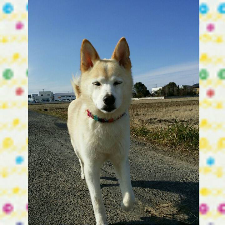 Cd134dff 99c7 4d66 bf51 612dbe19ce72