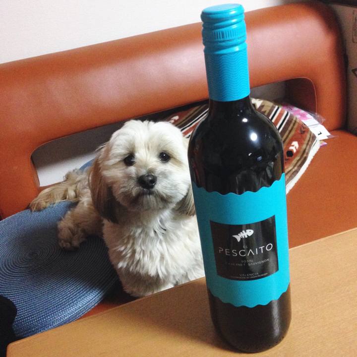 Cd13880e 8b14 42bb aef0 856621cb1254