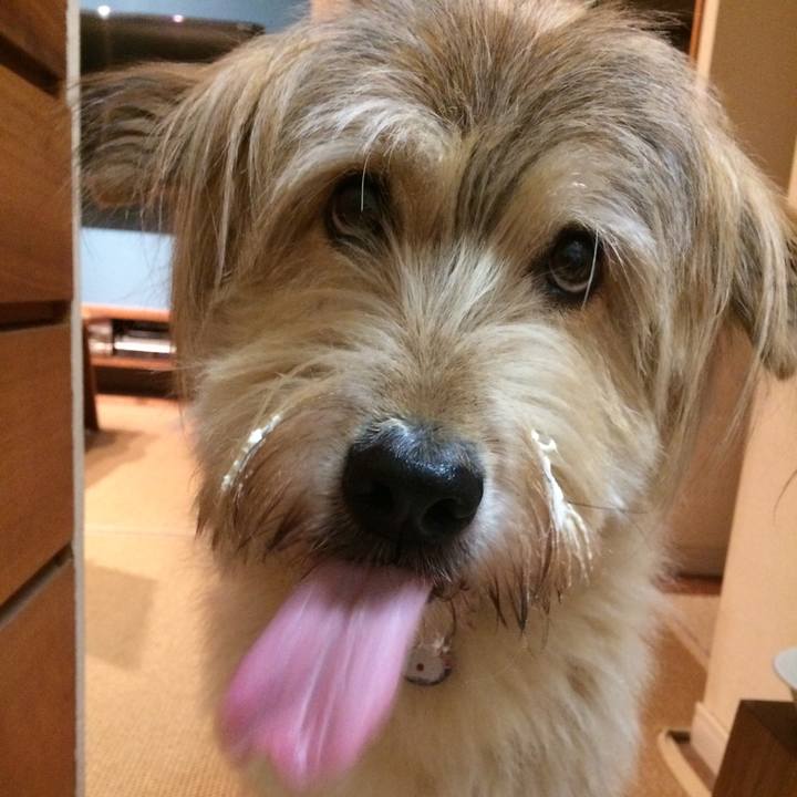 Cd13c361 72ba 484e b593 98f9ef180cf5