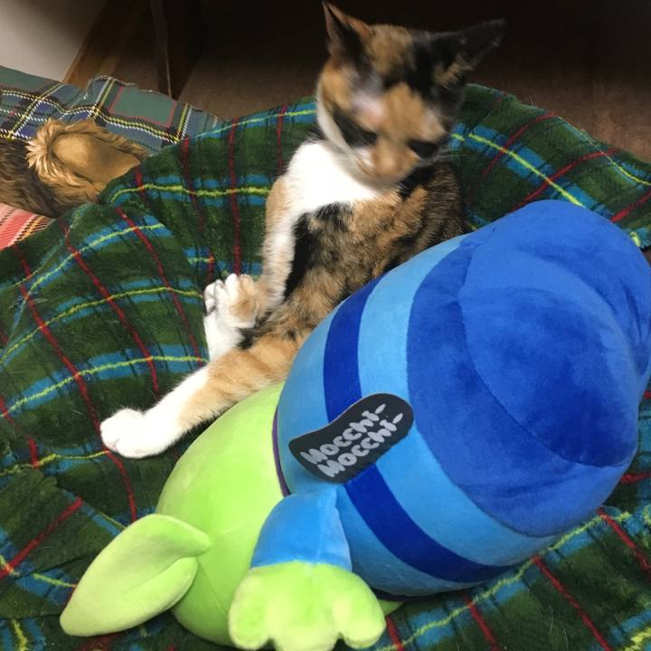 Cd140124 630f 4995 9f4b 6da113478833