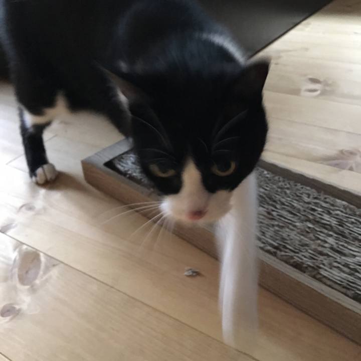 Cd146688 d73c 4d5d 8d25 128055f68072