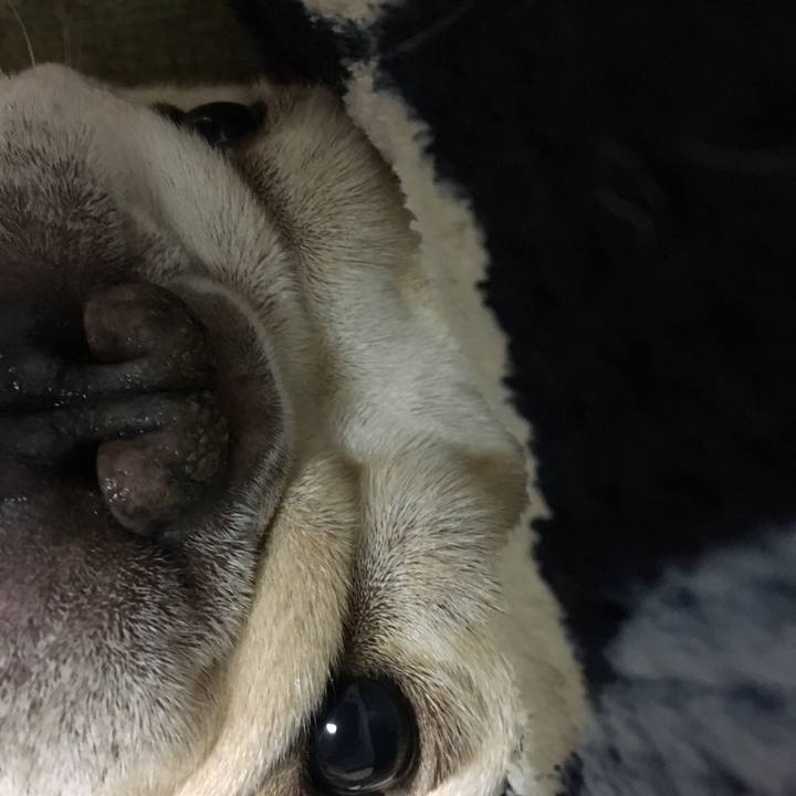 Cd147109 0995 4b8c a951 2001aa221661