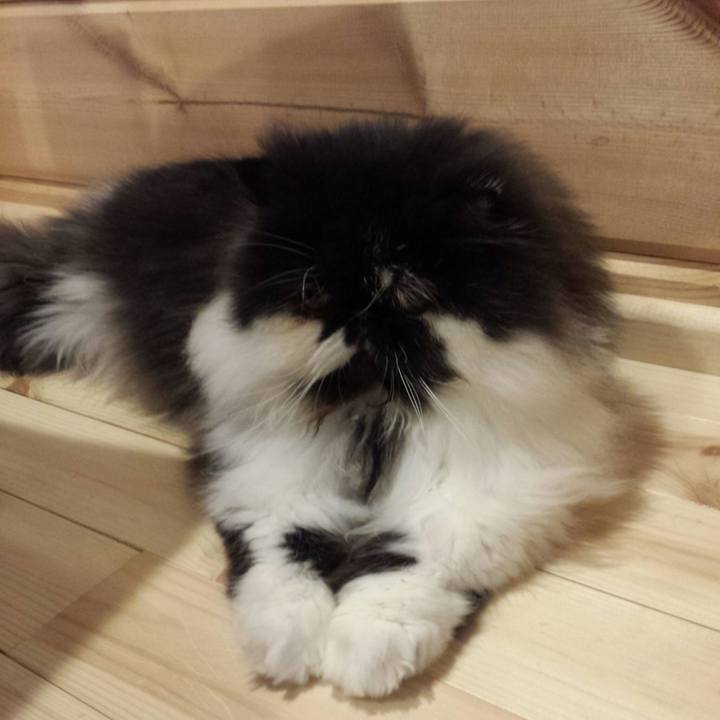 Cd14c3b1 387c 4981 90e1 0c39b6e147e2