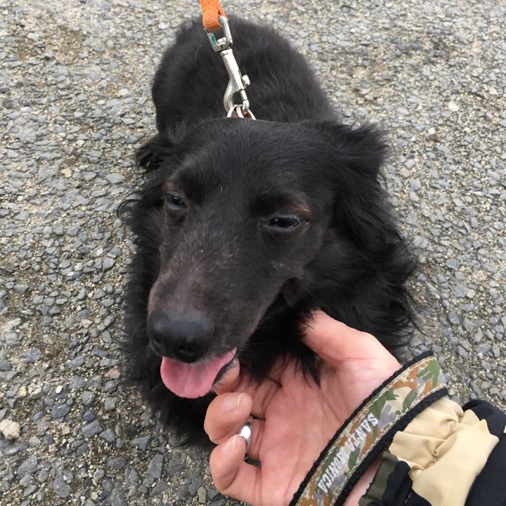 Cd1554c1 e995 44b4 b67d 4ebfbeea5625