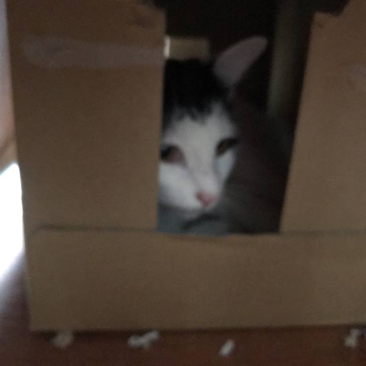 Cd155933 dbe1 459e 9c64 71a94a1c0acd