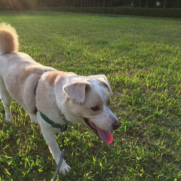 Cd15c76f 1301 4020 b752 1112c709be36