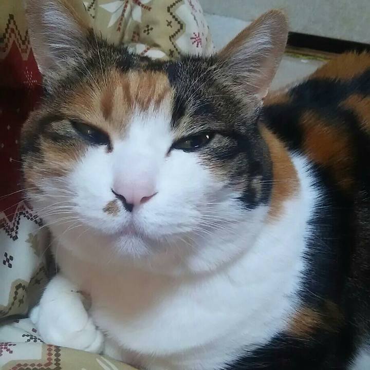 Cd16b5d9 ac78 4e29 80dd 1e7517ad780b