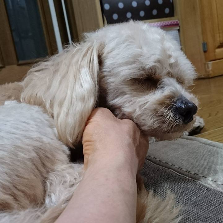 Cd16e150 71c5 40bc a2cc f7d6ca82f8c2