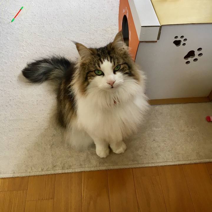 Cd16fac4 955e 464b 807f f1d3164f38c4