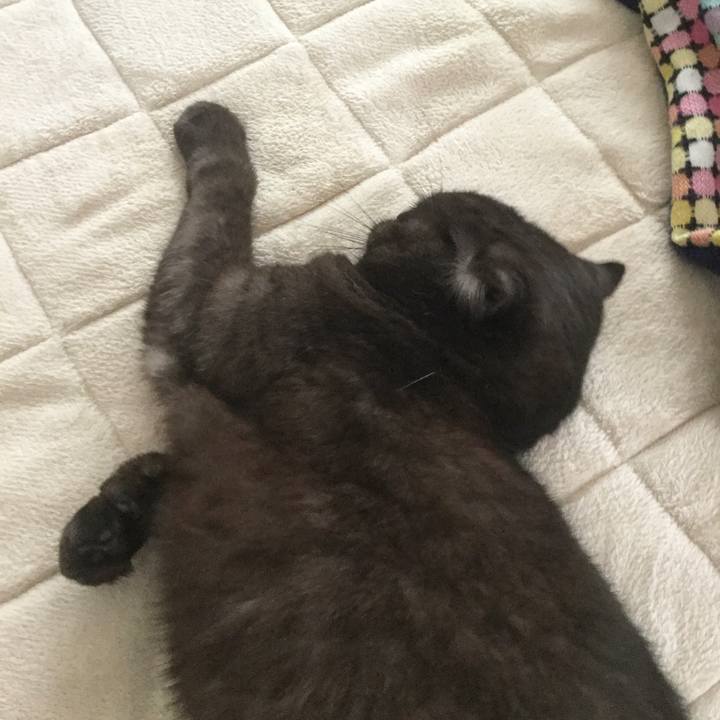 Cd16fb32 0128 45b9 afe6 0a27e0eee283