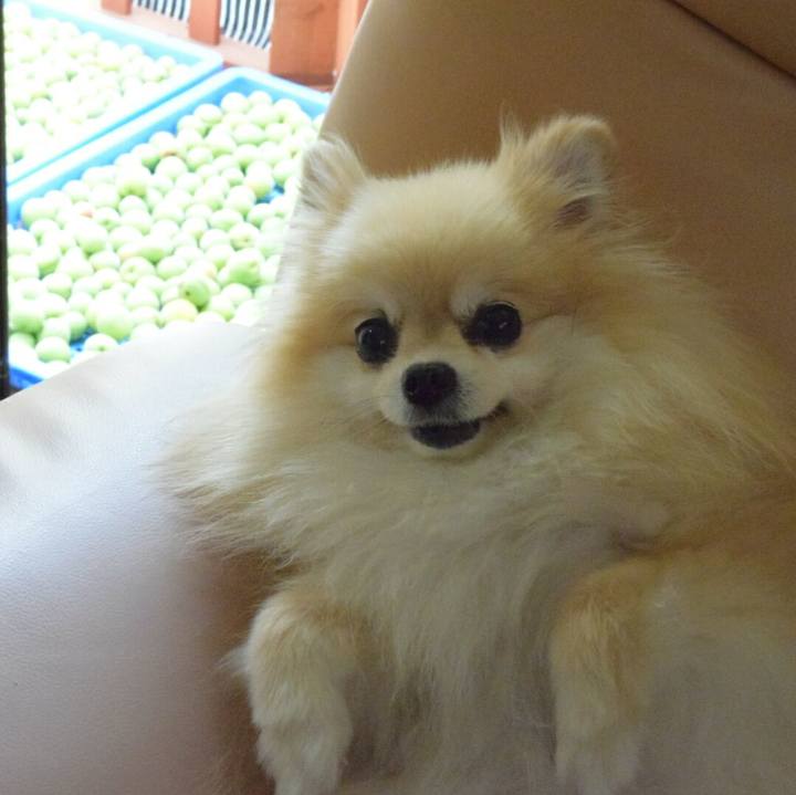 Cd17cb6b 29e3 4730 bbf5 fdd78330f8c8