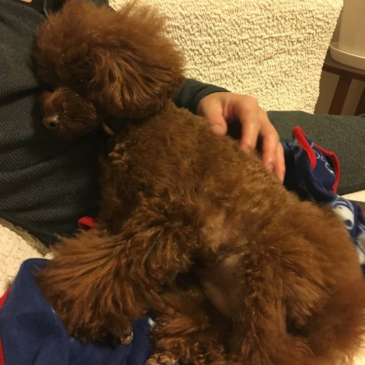 Cd18327a ebcb 470a a730 3876e4637e8a