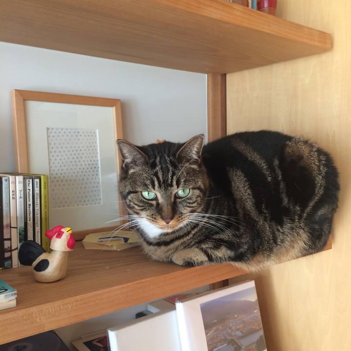 Cd185e03 4678 4b7a b78e 34981e404dba