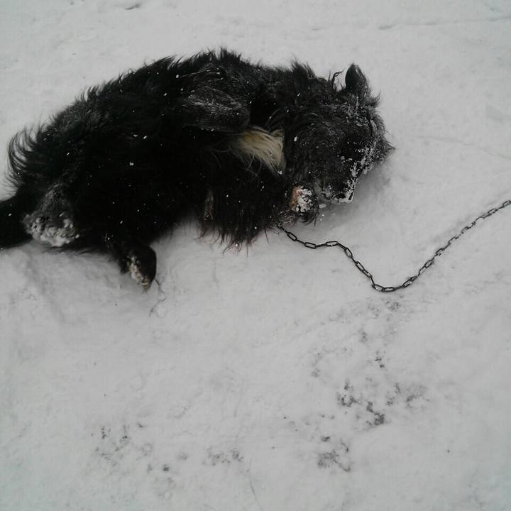 Cd1960c9 79c2 439e a200 32ab2c6b1c46