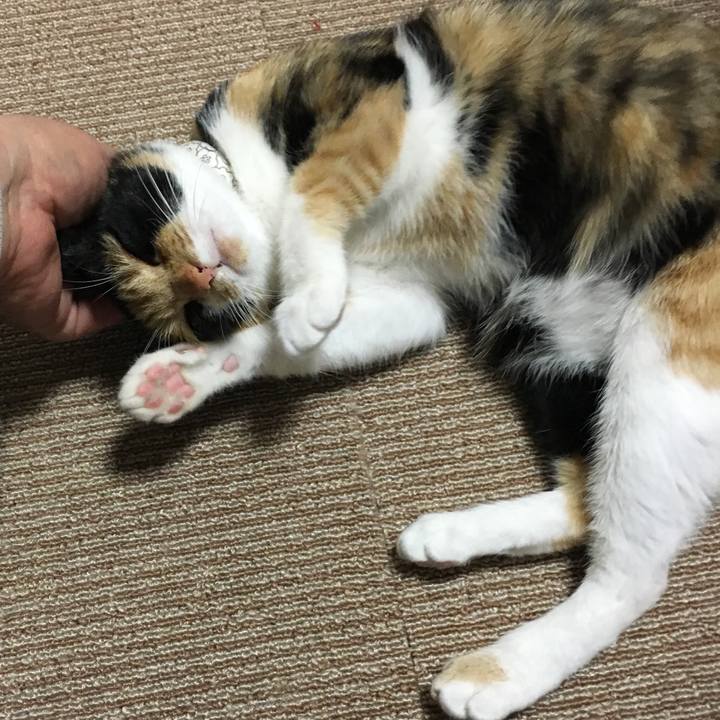 Cd1b5dd2 6d40 4a8a ae46 d4f2280ea96f