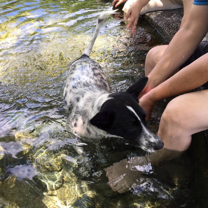 Cd1c907e adc6 4737 a369 00ab31b45858