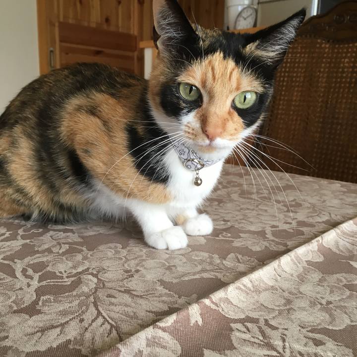 Cd1d6a27 ac5b 49dc 8814 494e3d02f180