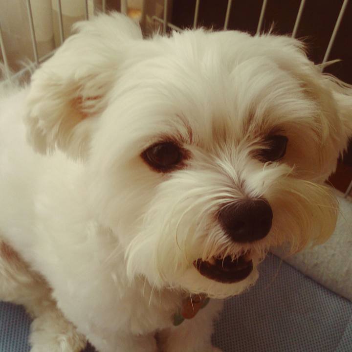 Cd1ed97e 05bc 493f a1f4 56ec84b18b01