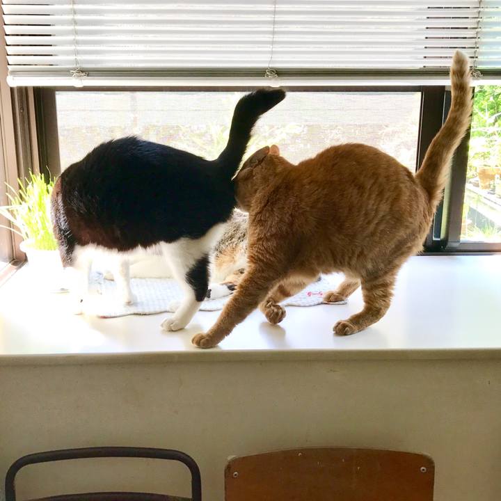 Cd1f2755 9f3c 4b5f b44c 3159f1d4019e