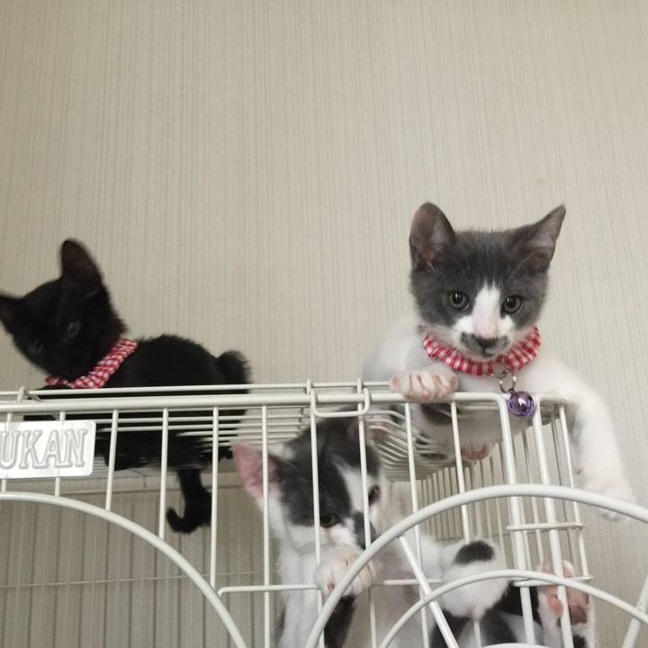 Cd1f85d5 a329 4ef1 8c67 0db13bfd6152