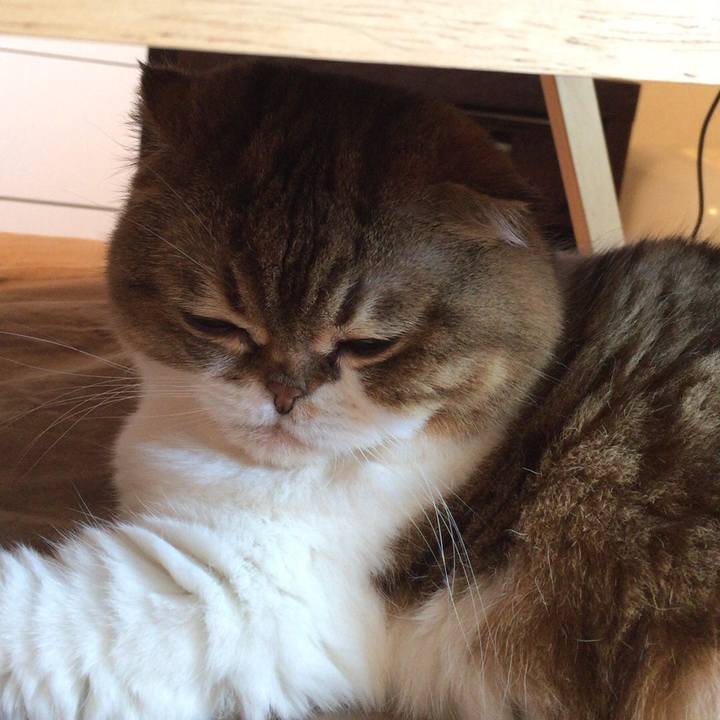 Cd1fa716 935d 41a6 844c 12b393723ee1