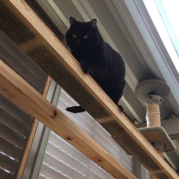 Cd202e01 8d36 40a0 9d8f 8dde8a03f32a