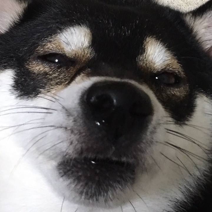 Cd208583 52eb 4e78 bc23 28260466b20d