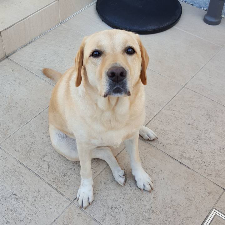 Cd209dd0 754b 4fe2 893f cdea7e3858fb