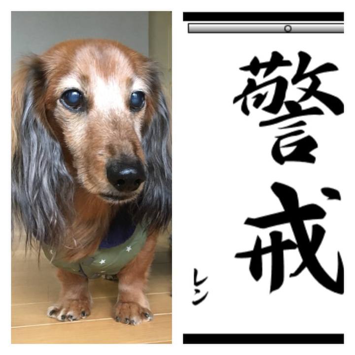 Cd21ad0f 198b 4ddb b9dd 69f7d31750e2