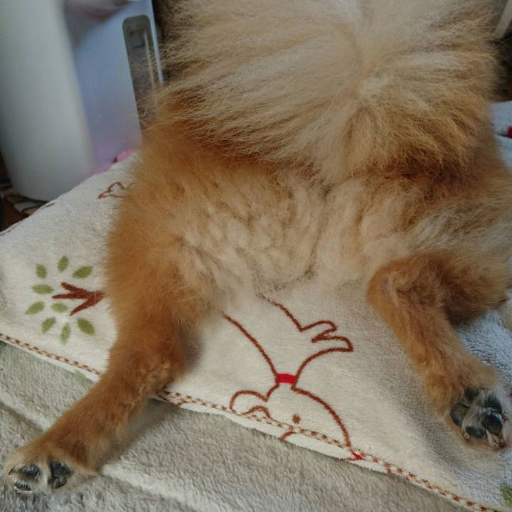 Cd21f570 d33e 4207 b24a 00f4b00515d6