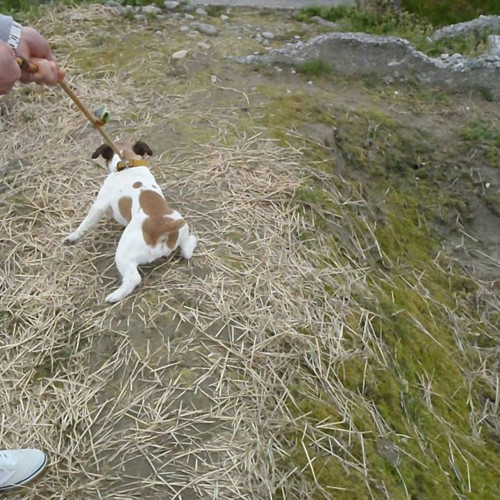 Cd21f7c8 aa92 4ea0 88a5 f12afbfd7709