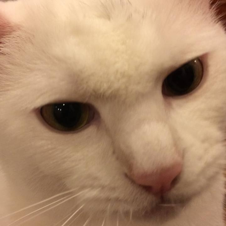 Cd221127 196d 47bd 95bd 03d160506cc8