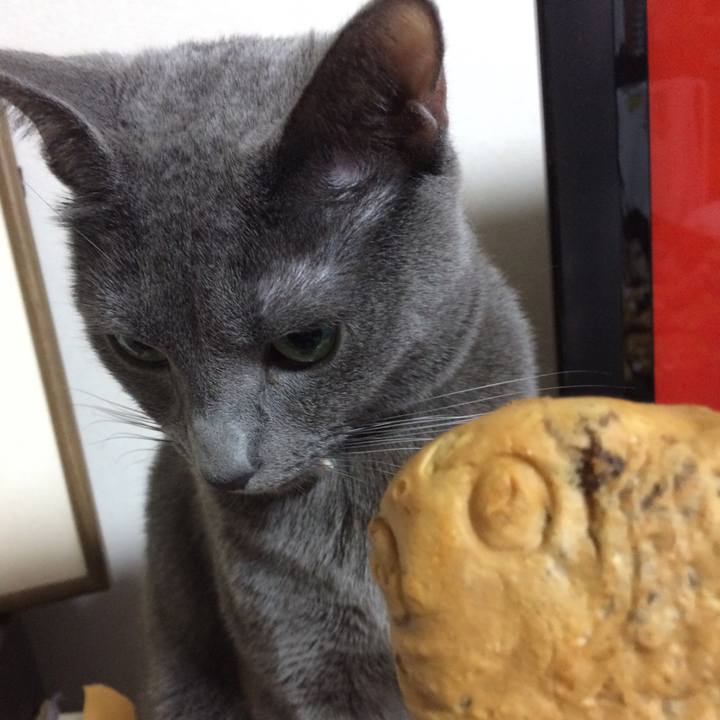 Cd225d02 f7fb 4051 bed9 06246877dc70