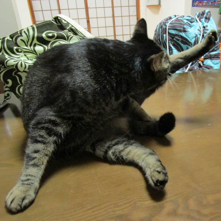 Cd228634 4018 4cbc a202 bc9156776d57