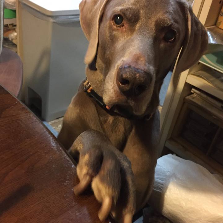 Cd2326d3 369e 47b2 8b00 c24fb61dbc30