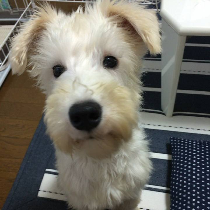 Cd236213 25ba 4802 a48a 06499ca0b1f1