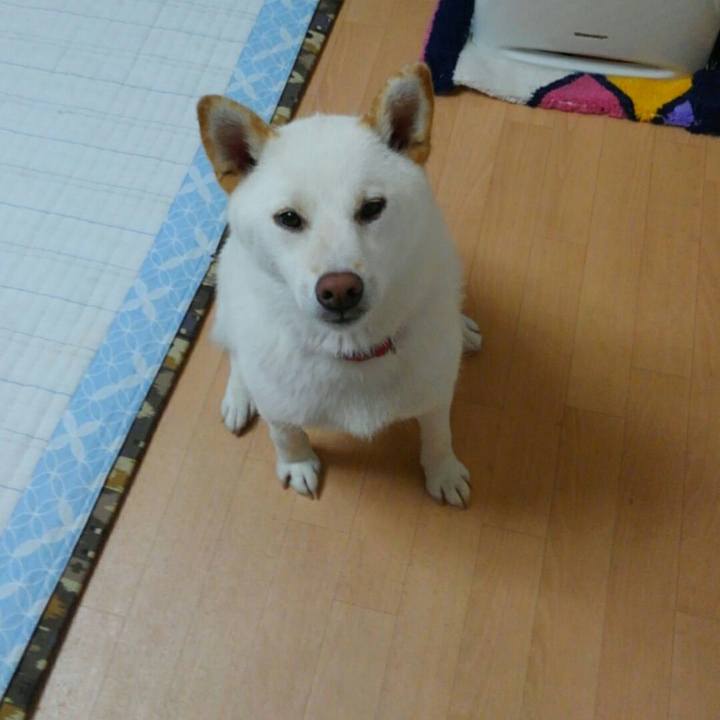 Cd23b0be 5e7e 4799 a894 47027a7f29ff