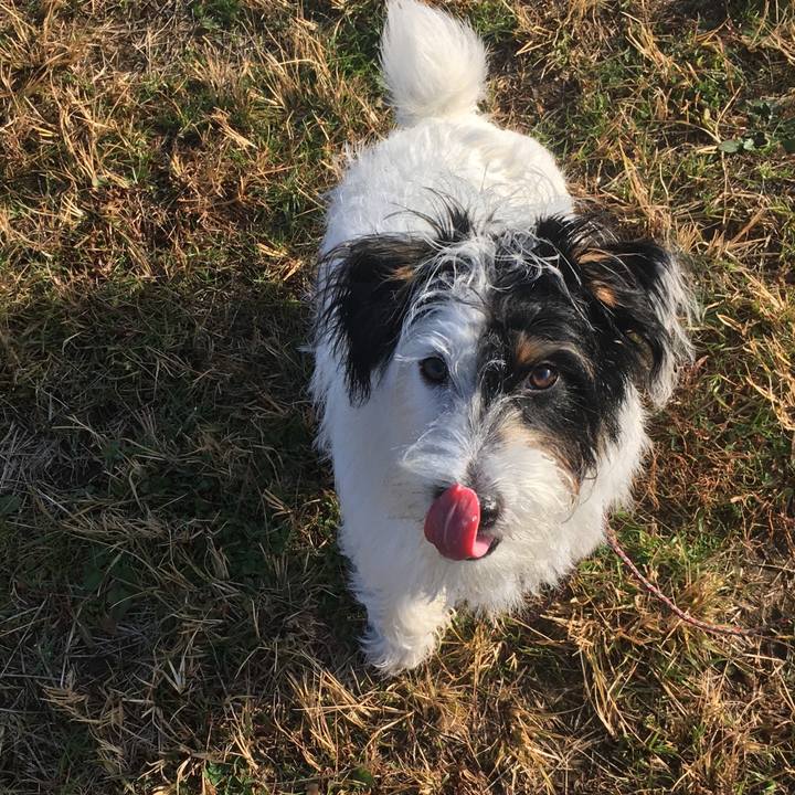 Cd23b7ec 1983 4acd a512 8baecef2dbc2