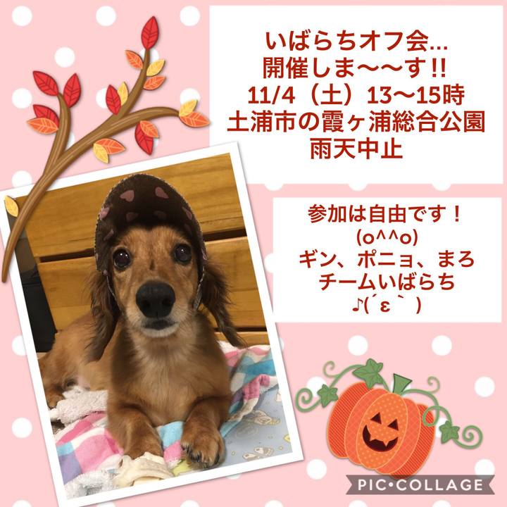 Cd2447c5 e0a1 4f55 904d c3437335339f