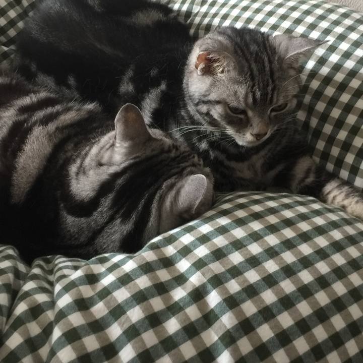 Cd24aca3 9cad 41cd 9138 9baa8ec93a24