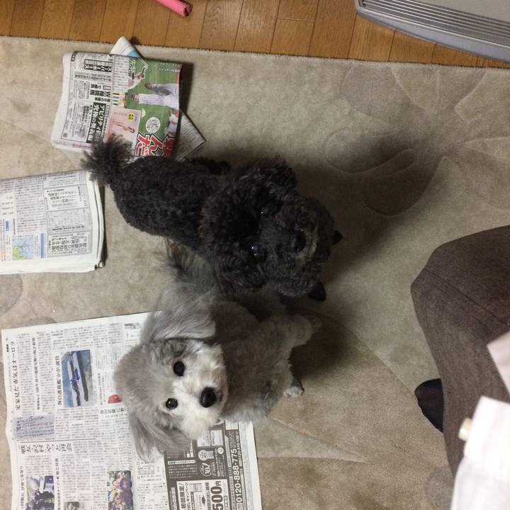 Cd253544 dbd7 4a7f 99b6 fde594489fbf