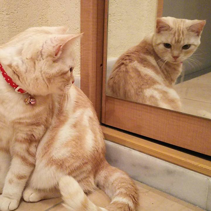 Cd262cbf dd7a 4df9 b10d 6c349f82a67f