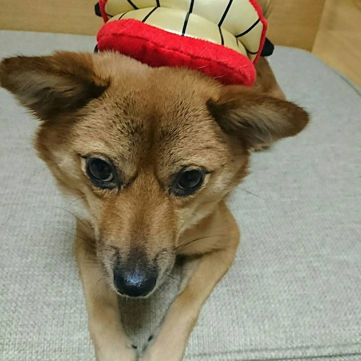 Cd26e410 20cb 4975 abd1 853e2be3390a