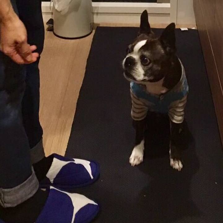 Cd276614 7b92 405c 8dfc 9c93a6f74bbd