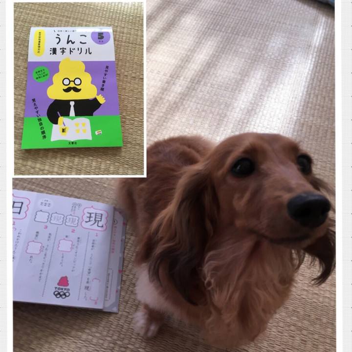 Cd2774d2 42a5 4700 8e4c 3f7b8b32acc7