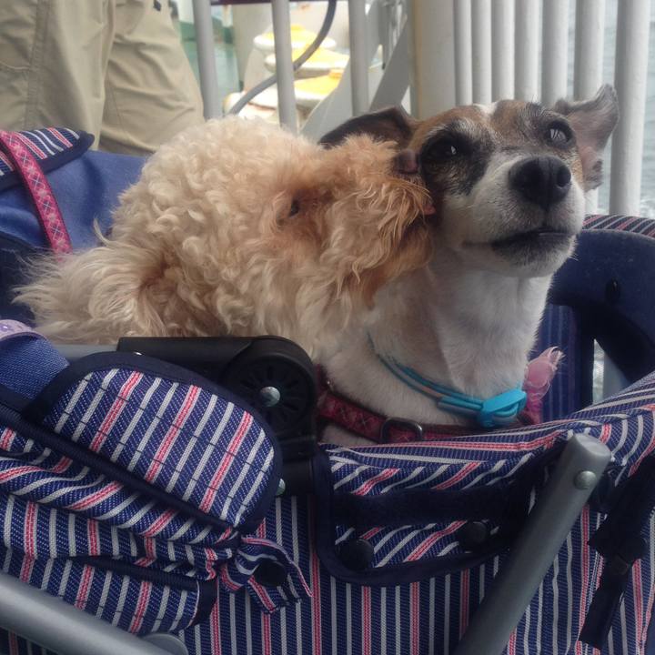 Cd27b563 1092 4406 8fc3 e57de157c62d