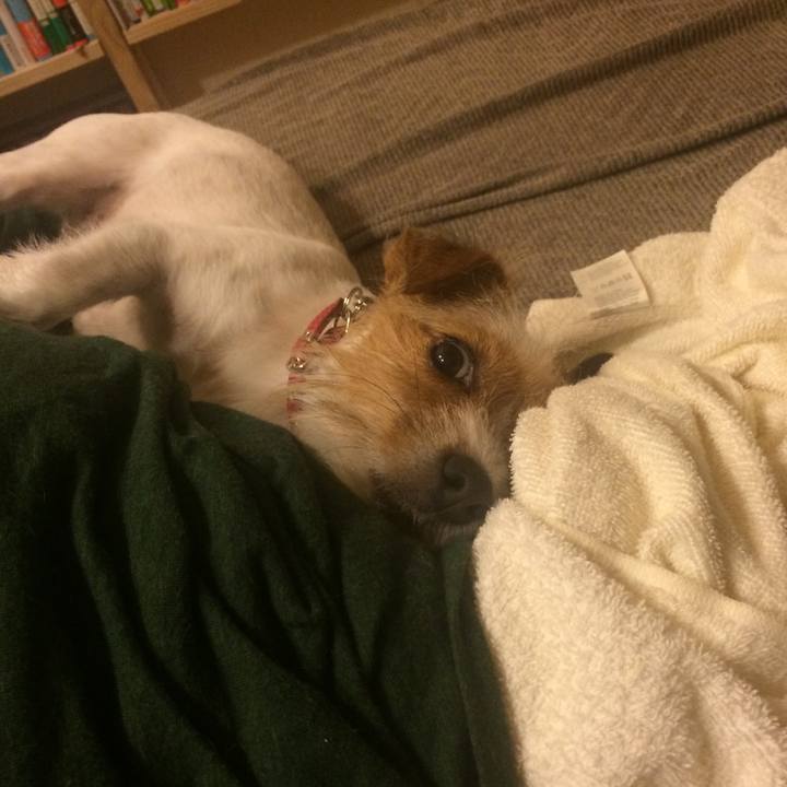 Cd28a949 31e0 43c4 a9d7 065463500666