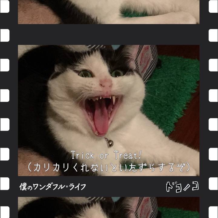 Cd293c34 e010 49e9 8f1c 3d4966af2fc0