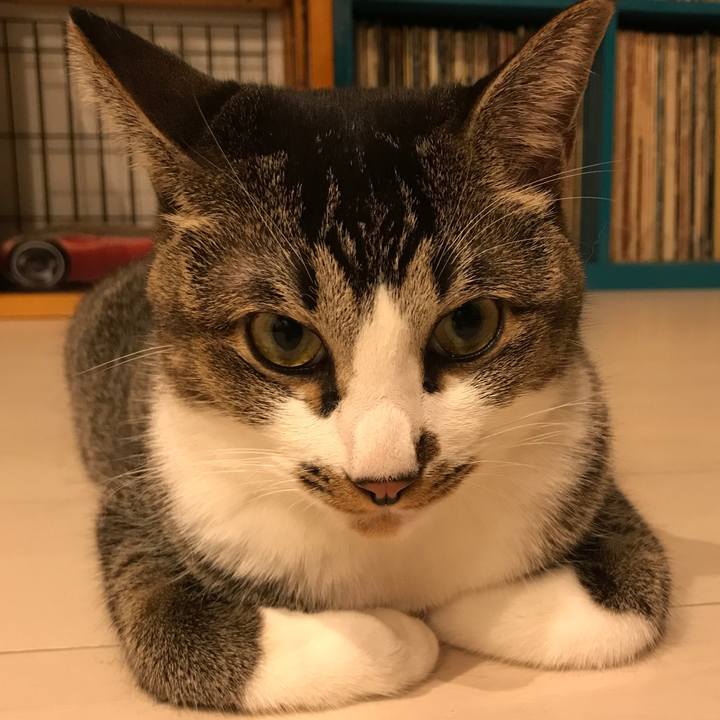 Cd295167 4343 47df 875e 8fa7f4c86741